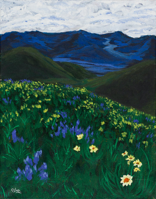 Idaho Wildflowers| Signed Original