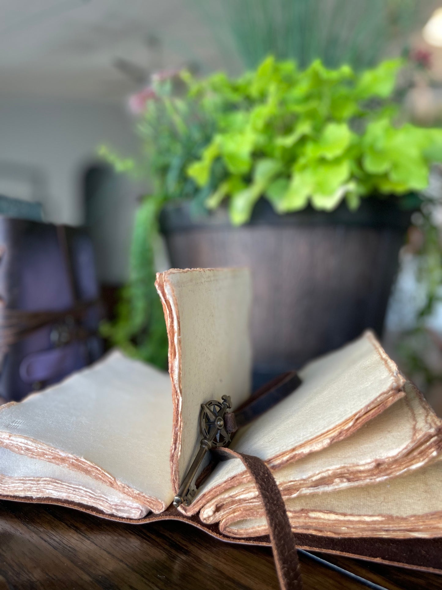 Hand-Painted Shine Bright Chandelier Journal